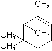 C10H16