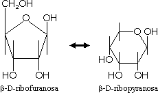 C5H10O5
