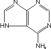 C5H5N5