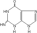 C5H5N5O