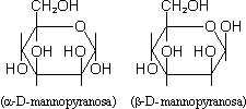 C6H12O6