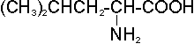 C6H13NO2