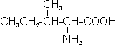 C6H13NO2