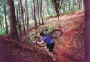 George overcoming the ramparts of the Mokice stronghold