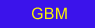 Gemini Bike Marathon Home Page